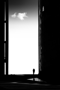 Wand / ***