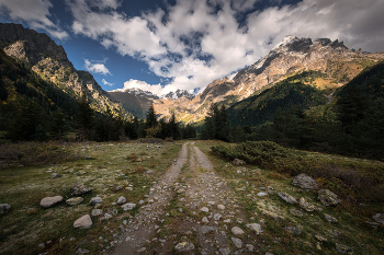 Mazeri Forest Path / ***