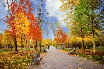 Herbst in der Stadt / ***