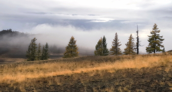 Herbstnebel / ***