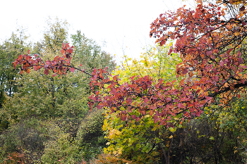 Herbst / ***