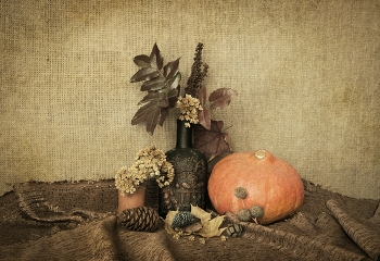 Still Life / ***