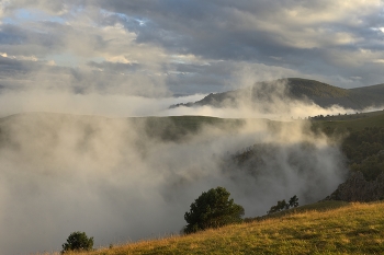 Abendnebel / ***
