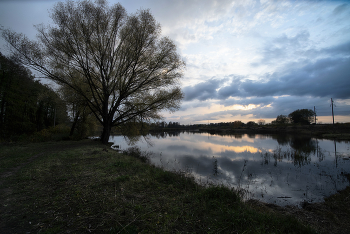 Evening Pond / ***