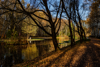 Herbststimmung. / ***
