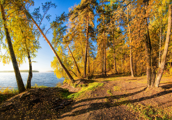 Herbst-Strand / ***