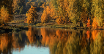 Herbst wieder ... / ***