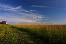 Vor dem Mähen ... / ***