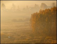 Herbst Licht / *****