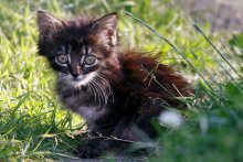 &quot;Du HTO? / *******