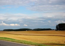 Russische Feld / ***