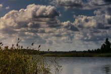 Sommerlandschaft Nummer 2 / .................