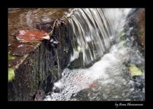 in Erwartung der Herbst / *****