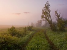 Morgendämmerung / ***