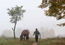 Wanderung / ***