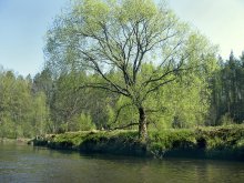 ist so eine schöne Natur in Belarus / ***