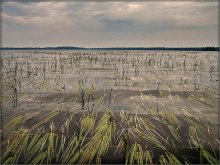 und in unseren gnilave - regen ... / .....