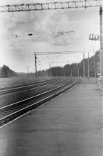 The Way Home / ***