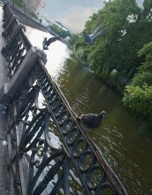 in New Holland / ***