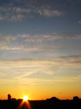 Sechs glücklichen Menschen! / ***