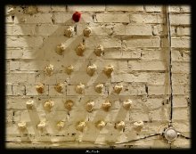Form und Inhalt / ***