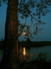 Nieman Mond ... / ***