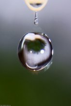 Ein Tropfen im Flug / ***