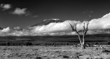 Kilimanjaro / ***