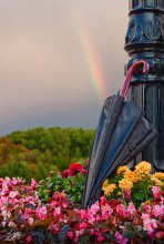 Herbst unter einem Regenbogen zu Fuß / ***