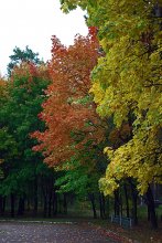 Herbst Trikolore / ......