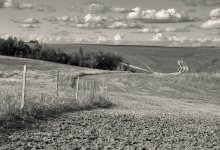 gewöhnliche Landschaft / *****