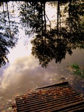 Teich / ***