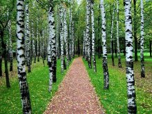 Moskauer Herbst / ***