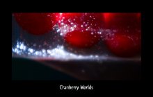 Cranberry Welten I / ***