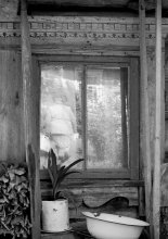 Spiegelung / ***
