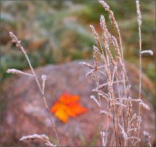 Zeichen des Herbstes / .....