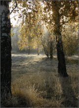  / http://velosipedd.blogspot.com/2009/10/20_21.html