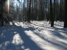 Winter / ***