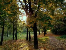 Herbst / *****