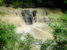 tropischen Wasserfall / ***