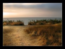 Zärtlichkeit, das Meer .. / ***