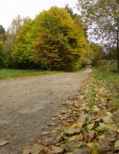 Herbst. Oktober. / ***