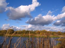 Herbst in Zalesie / ***