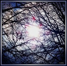 Um die Sonne / ***