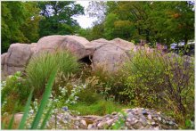 Der Herbst naht / ***