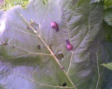 ... Komm zu mir / ***