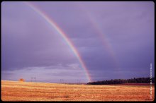 Rainbow-Bogen / ***