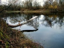 Forest Lake / *88**