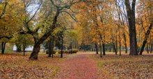 Gorky Park / ***