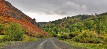 Straße zum Herbst / *****